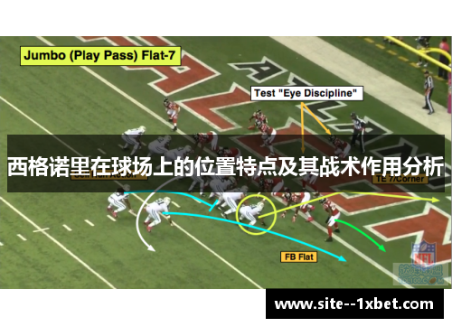 西格诺里在球场上的位置特点及其战术作用分析 西格诺里在球场上的位置特点及其战术作用分析
