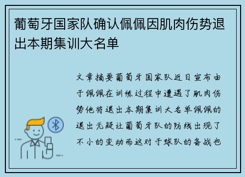 葡萄牙国家队确认佩佩因肌肉伤势退出本期集训大名单